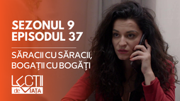 E37 - Săracii cu săracii, bogații cu bogații