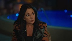 Episodul 22