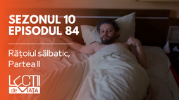 Episodul 84 - Rățoiul sălbatic, Partea II