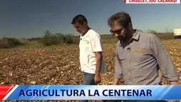 Agricultura la centenar