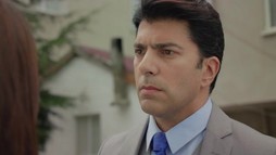 Episodul 248