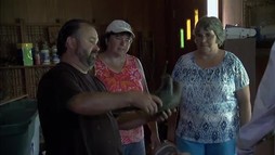 Episodul 5