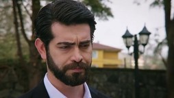 Episodul 178