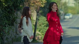 Episodul 273