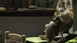 Episodul 38