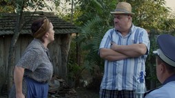 Sezonul 17, Episodul 25