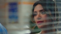 Episodul 81