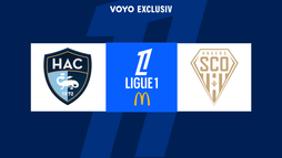 Le Havre - Angers