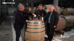 Wine Trips România S2E7 | Raluka a descoperit superstarurile îmbuteliate la Domeniile Sâmburești