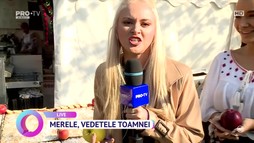 4 Noiembrie 2022