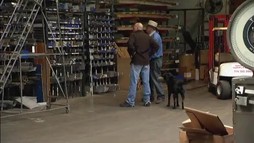 Episodul 17