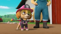 Episodul 17