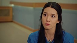 Episodul 185