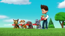 Episodul 12