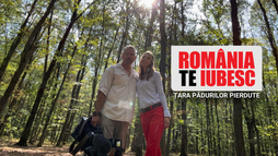 Țara pădurilor pierdute