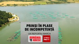 17 Septembrie 2023