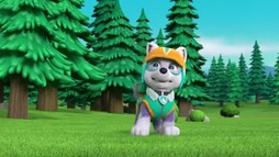 Episodul 15