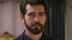 Episodul 167