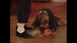 Episodul 18