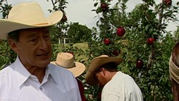 Episodul 24