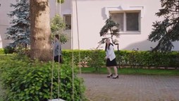 Episodul 207