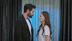 Episodul 312