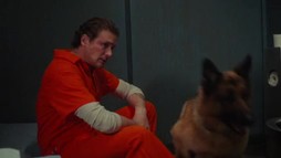 Episodul 8