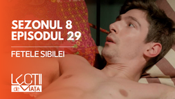 EP29 - Fetele Sibilei