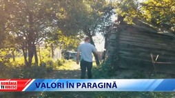 Valori în paragină
