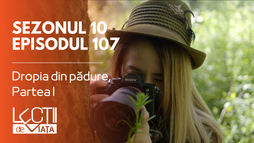 Episodul 107 - Dropia din pădure, Partea I