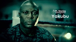 Yakubu Aiyegbeni