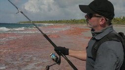 Episodul  1