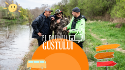 Delta Dunării