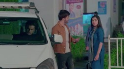 Episodul 207