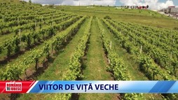 Romania, te iubesc! 17 octombrie 2021