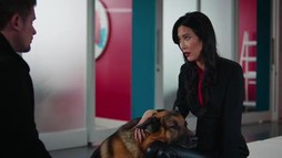 Episodul 13