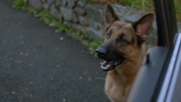 Episodul 3