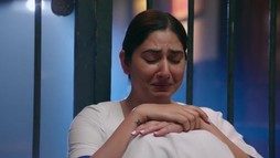 Episodul 201
