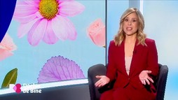 Ediția 12
