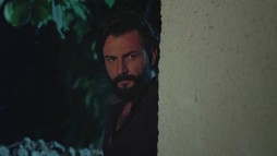 Episodul 238