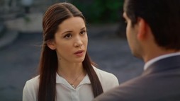 Episodul 208