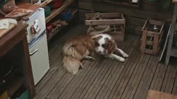 Episodul 7