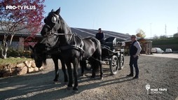 Wine Trips România S2E11 | Pe urmele turismului viitorului, la Biniște și Cai