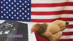Episodul 9
