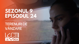 E24 - Terenuri de vânzare