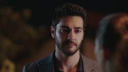 Episodul 56