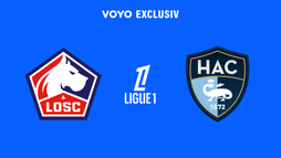 Lille - Le Havre