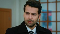 Episodul 172