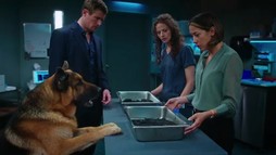 Episodul 9