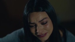 Episodul 158